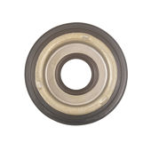 Piston - 4L80E Direct General Motors 91-ON Ind# 34809A OEM# 24204961